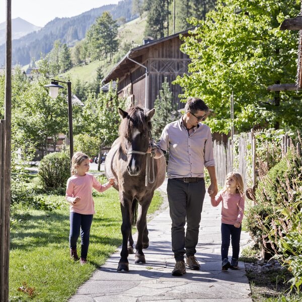 Kinder und ein Erwachsener beim Umgang mit einem Pferd auf dem Bauernhof.