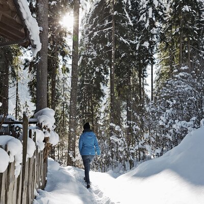 Natur pur rund ums Feriendorf