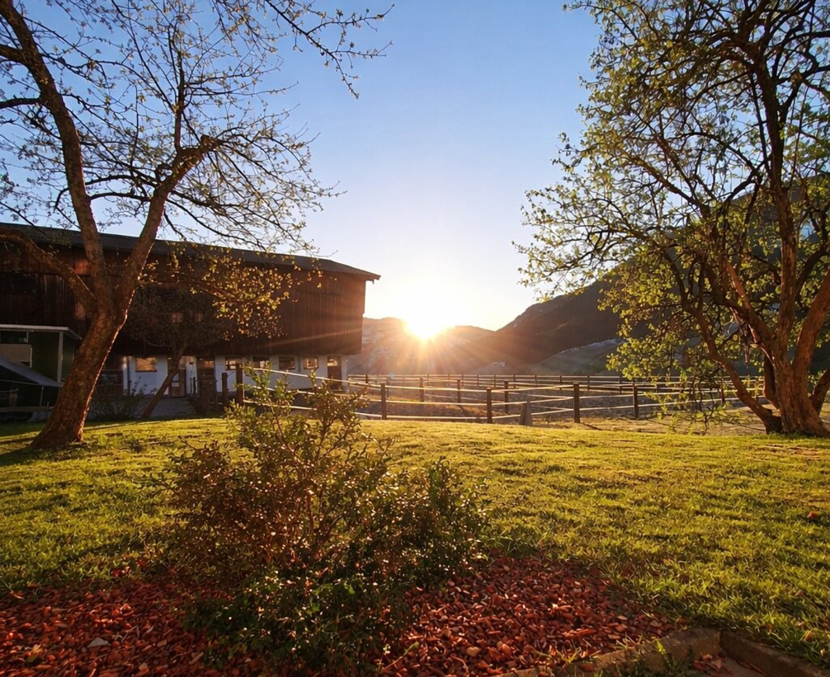 Außenansicht bei Sonnenaufgang mit Wiese, Bäumen und Bergen im Hintergrund.