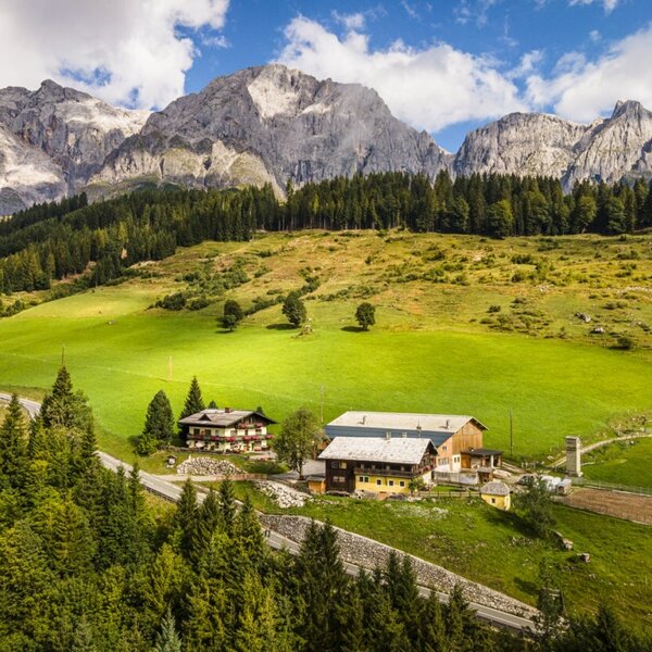 Das einladende Bauernhaus inmitten von saftigen grünen Wiesen vor dem imposanten Hochkönigmassiv.