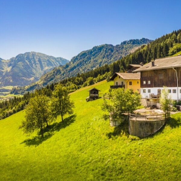 Der Hof liegt an einem grünen Hang mit Blick auf die Berge und das Tal.