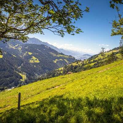 Blick vom Bauernhof über grüne Bergwiesen und bewaldete Täler.