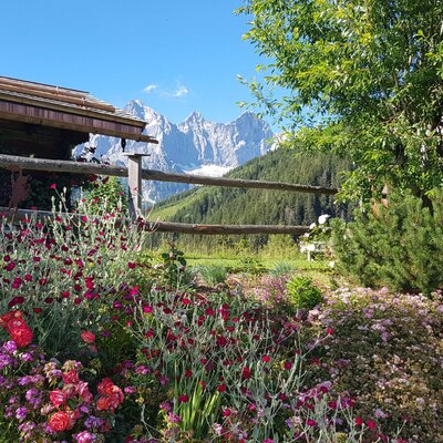 Der Bauernhof ist umgeben von einem blühenden Garten mit Blick auf die Berge.