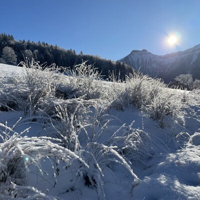 Eine sonnige Winterlandschaft mit schneebedeckten Gräsern und Bergen rund um den Hof.