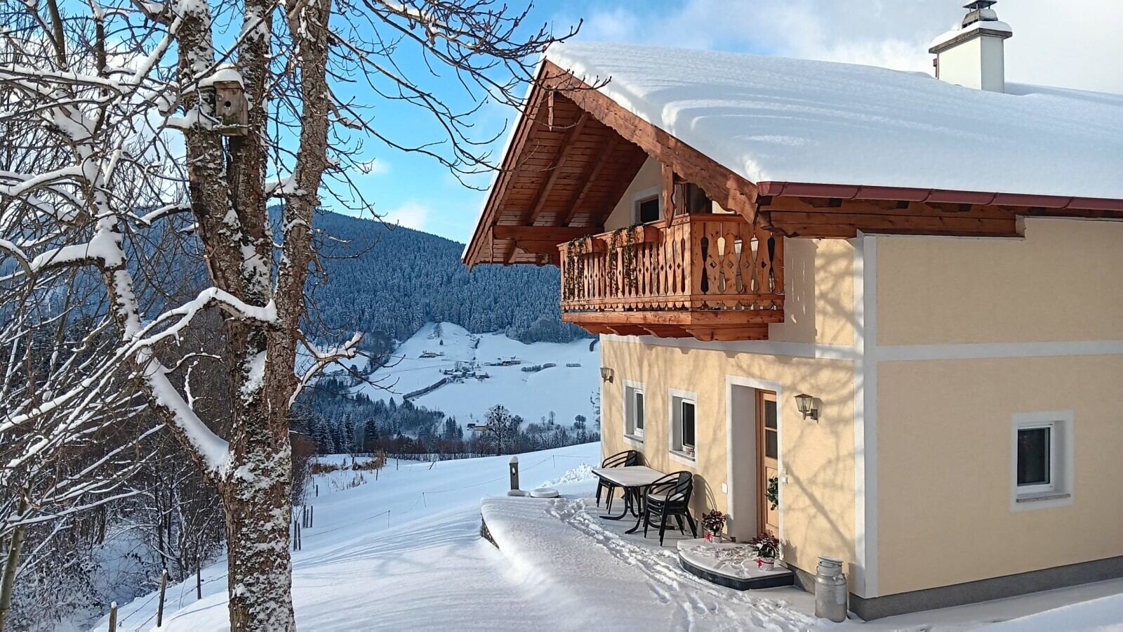 Ferienhaus im Pulverschnee.