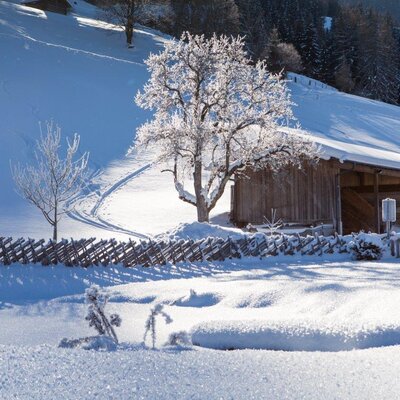 Verschneite Winterlandschaft am Bauernhof mit einem Holzgebäude, einem Zaun und Bäumen mit Raureif.