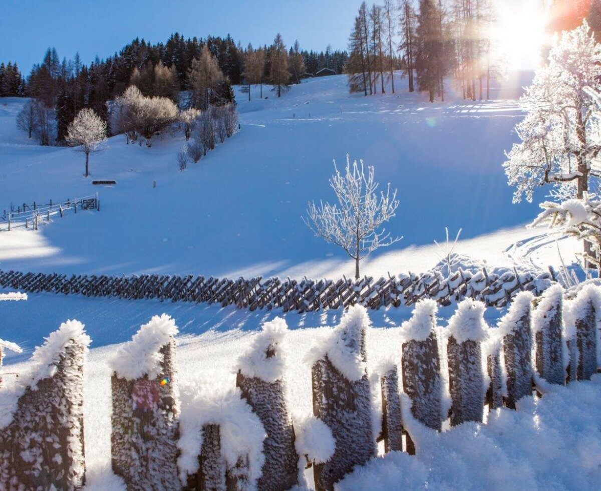 Die schneebedeckte Winterlandschaft rund um den Bauernhof mit einem holzigen Zaun und frostbedeckten Bäumen, beleuchtet von der Wintersonne.