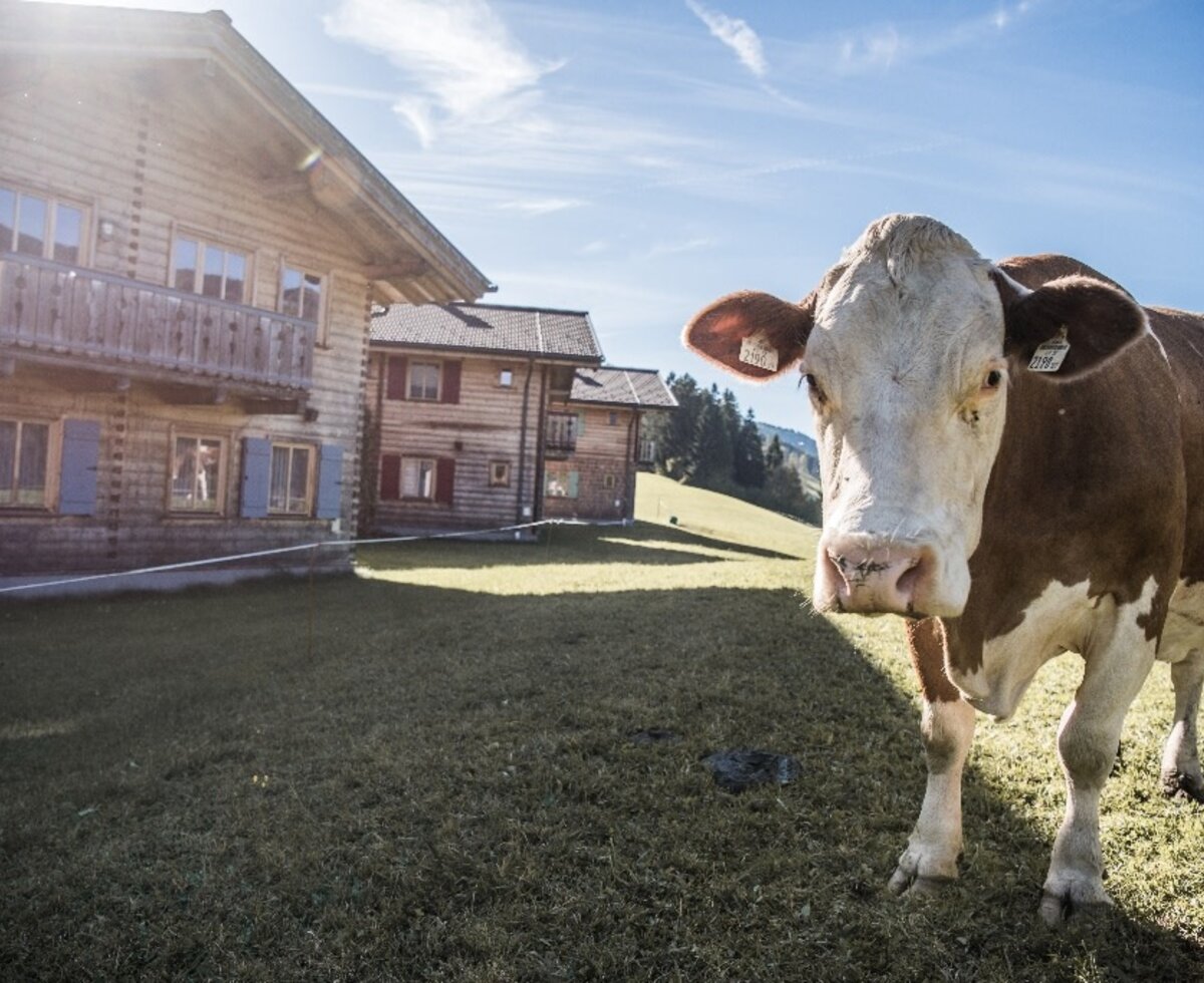 Urlaub am Bauernhof Ferienhof Oberreit