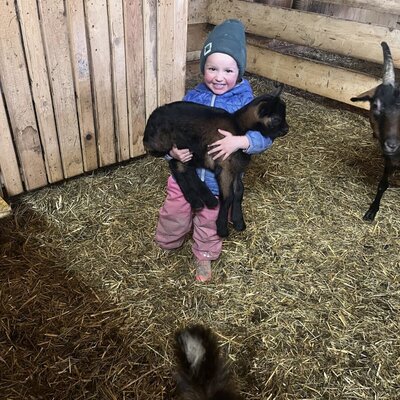 Ein Kind hält eine junge Ziege im Stall des Bauernhofs, wo auch weitere Ziegen leben.