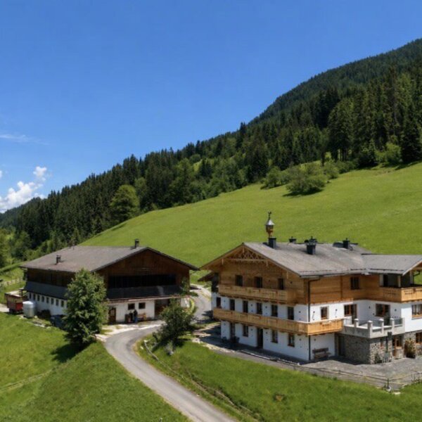 Außenansicht des Bauernhofs mit seinen Appartements, umgeben von grünen Wiesen und bewaldeten Bergen.