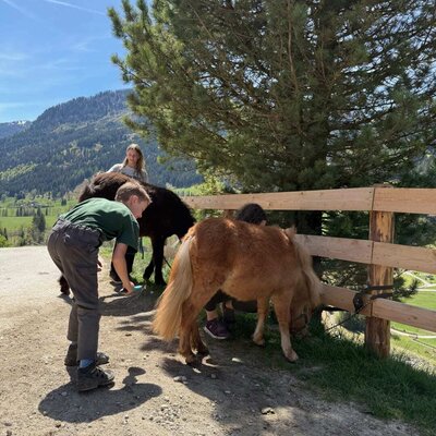 Kinder putzen die Ponys auf dem Bauernhof, umgeben von Natur und Bergen.