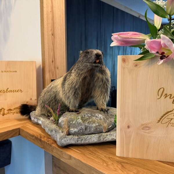 Dekoration auf dem Bauernhof mit einem Murmeltier, Informationsmappen und Blumen.