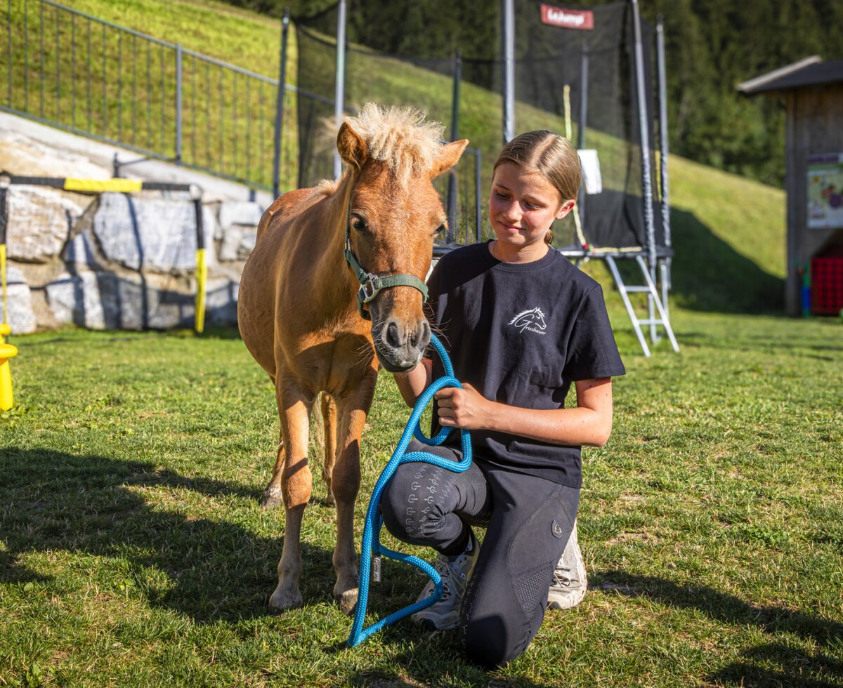 Ein zahmes Pony auf der grünen Wiese des Bauernhofs, ideal für erlebnisreiche Momente mit Kindern.