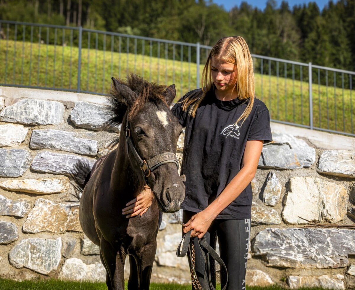 Ein zutrauliches Pony auf dem Bauernhof, umgeben von grüner Natur.