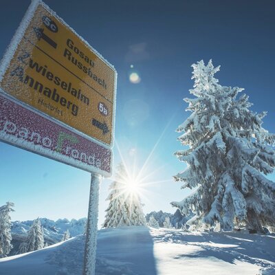 Verschneiter Wegweiser im Skigebiet Dachstein West, der unter anderem nach Rußbach zeigt, mit schneebedeckten Bäumen und Wintersonne.