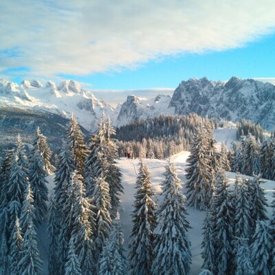 Winterlandschaft am Hornspitz mit verschneiten Tannen und dem Gosaukamm im Skigebiet Dachstein West.