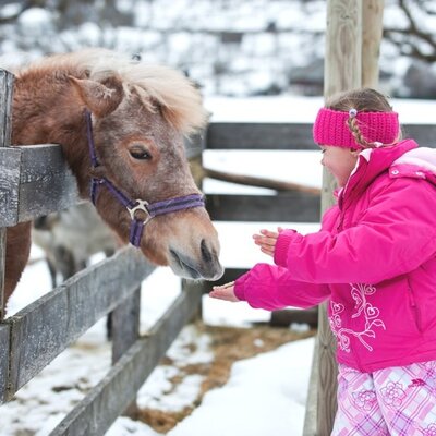 Ein Kind füttert ein Pony am Zaun des Bauernhofs im Schnee.