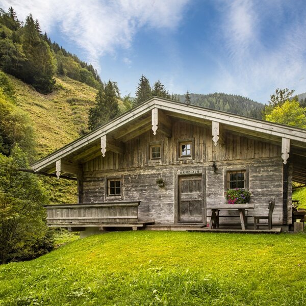Die urige Almhütte im traditionellen Holzstil, umgeben von einer grünen Bergwiese.