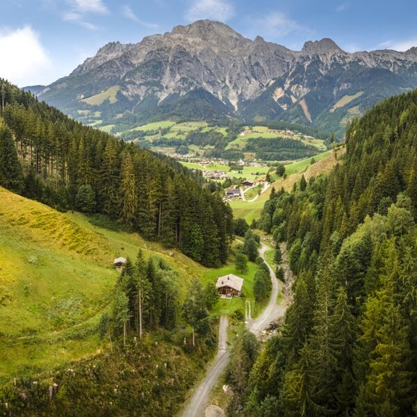 Malerischer Ausblick auf das üppig grüne Tal und die imposante Bergkulisse.
