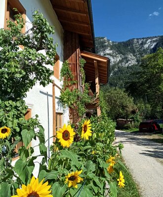 Der einladende Bauernhof mit leuchtenden Sonnenblumen im Vordergrund und Blick auf die umliegenden Berge.