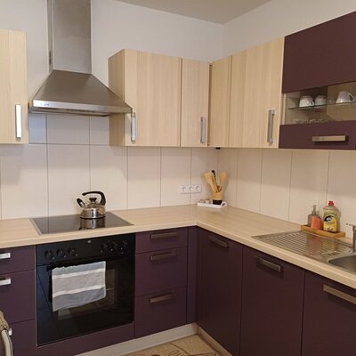 Die Küche ist ausgestattet mit Backofen, Kochfeld, Spüle und ausreichend Stauraum.