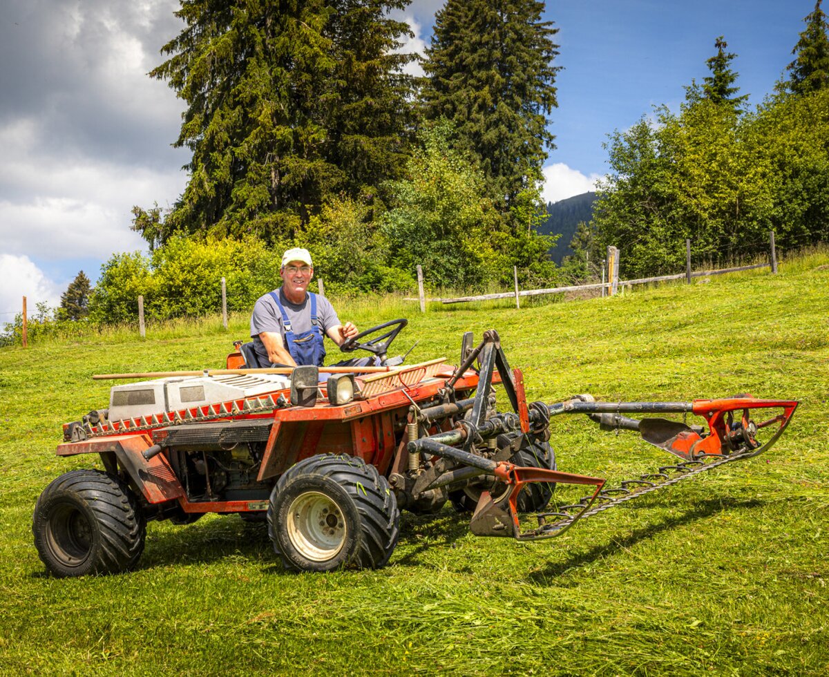 Traditionelle landwirtschaftliche Arbeit am Bed & Breakfast mit einem Mähtraktor auf den saftig grünen Bergwiesen.