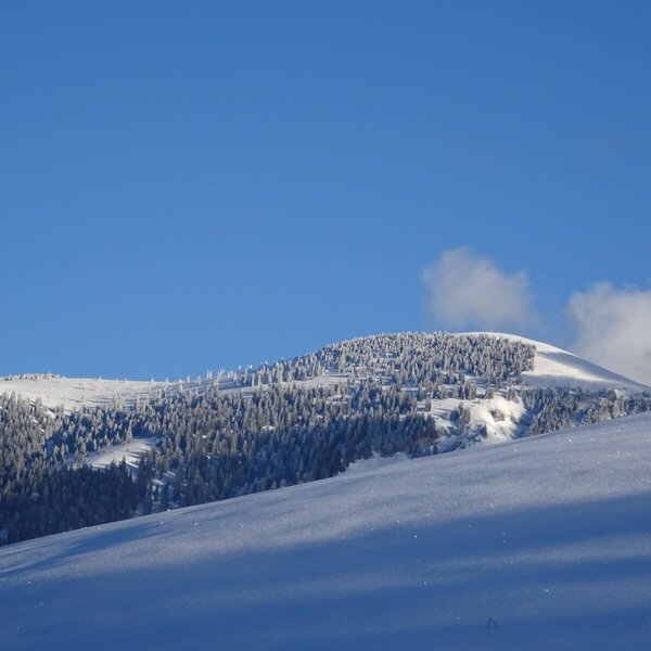 Blick zum Trattberg