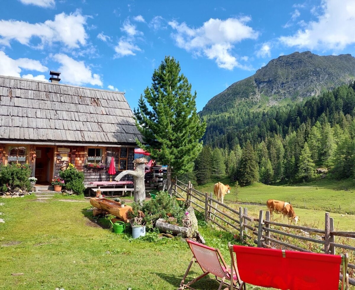 Außenbereich der Tonimörtlhütte Blick auf die Berge und Weiden mit Kühen.