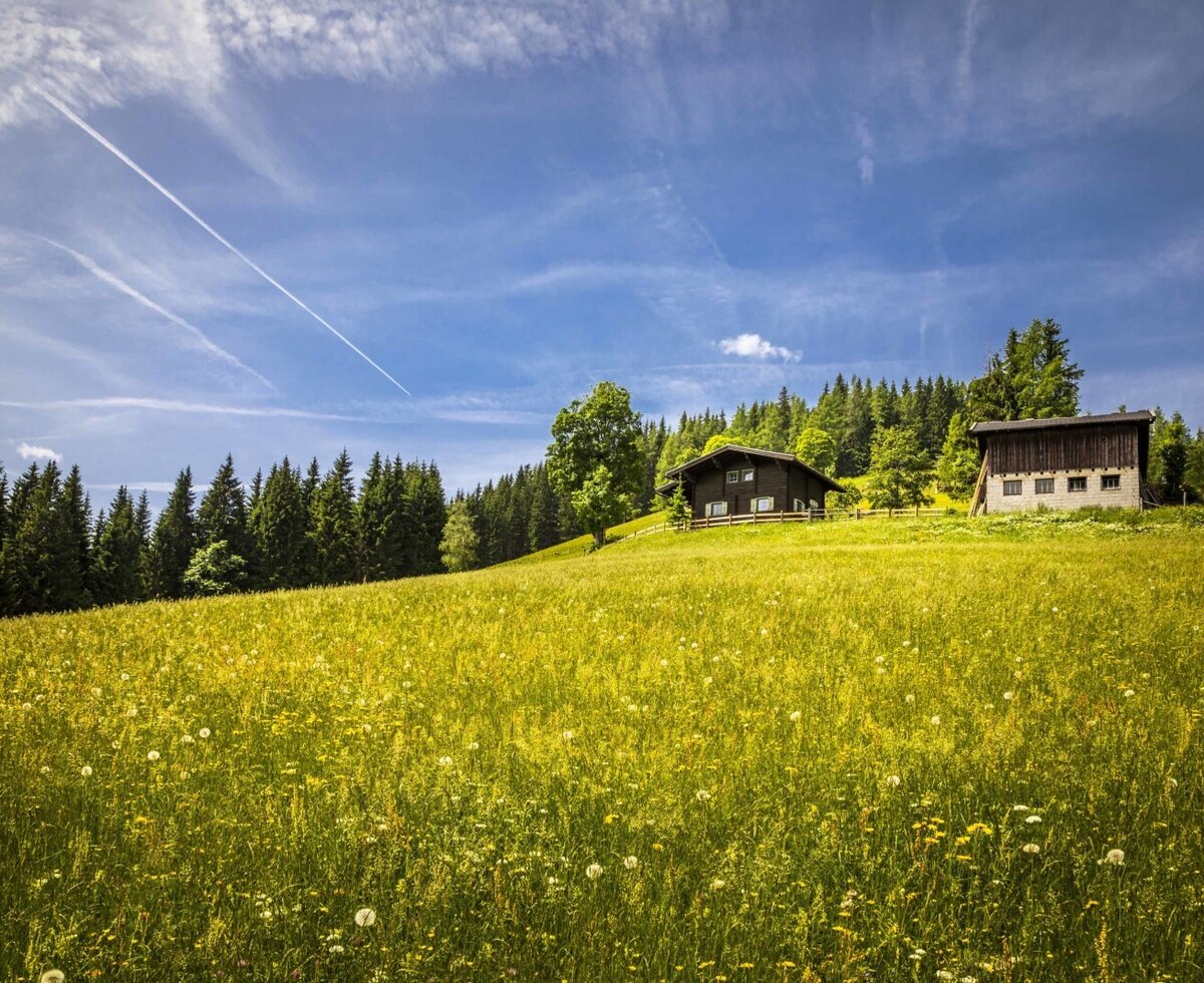 Helfer Alm mit Stallgebäude