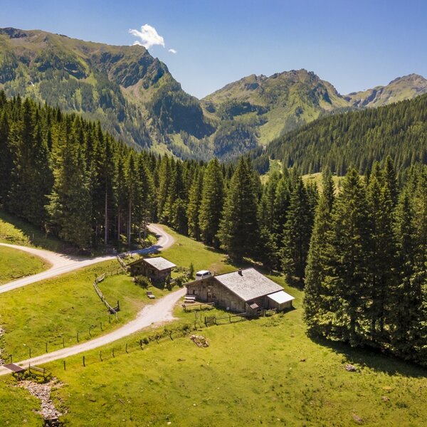 Der Hof liegt in einem Bergtal, umgeben von Nadelwäldern und grünen Wiesen, mit einer Zufahrtsstraße.
