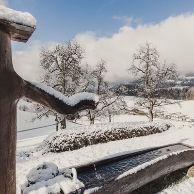 Hölzerner Wassertrog mit fließendem Wasser in der verschneiten Winterlandschaft des Bed and Breakfast.