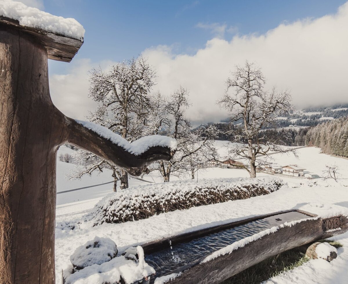 Hölzerner Wassertrog mit fließendem Wasser in der verschneiten Winterlandschaft des Bed and Breakfast.