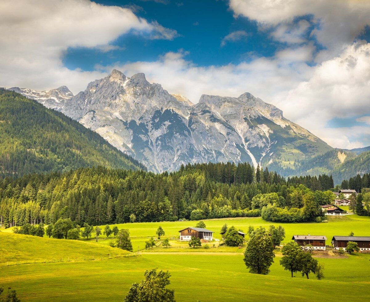 Die Berglandschaft mit grünen Wiesen und Wäldern, die das Bed and Breakfast umgibt.