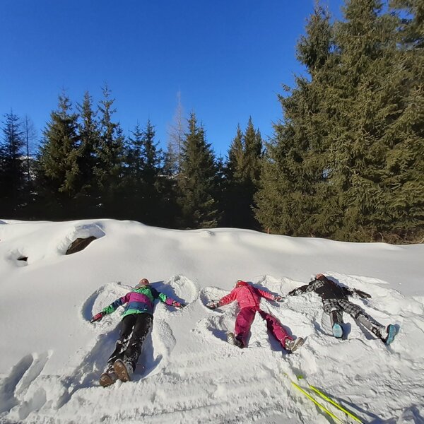 Kinder spielen im Schnee und machen Schneeengel, umgeben von winterlicher Landschaft mit Tannenbäumen am Hof.