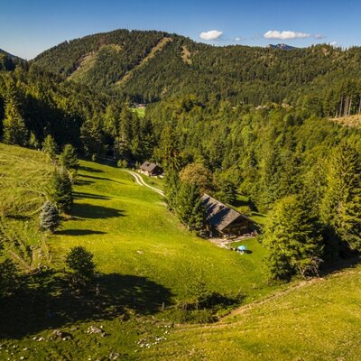 Die urige Almhütte in idyllischer Alleinlage, umgeben von saftigen Bergwiesen und dichten Wäldern.