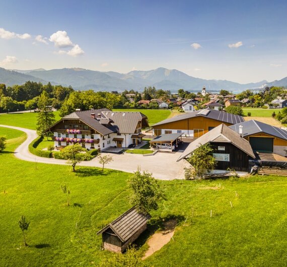 Der Bauernhof befindet sich inmitten grüner Wiesen mit Bergblick und in der Ferne sind der Wolfgangsee und das Dorf Strobl zu sehen.