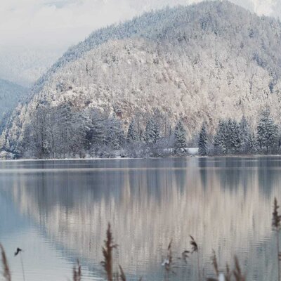 Blick auf den winterlichen Wolfgangsee mit schneebedeckten Bergen und deren Spiegelung im Wasser.