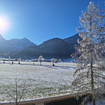 Winterlandschaft mit schneebedeckten Feldern, Bergen und einem raureifbedeckten Baum vor dem Bauernhof.