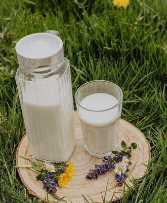 Frische Milch vom Bauernhof in einem Krug und Glas, auf einer Holzscheibe im Gras präsentiert.