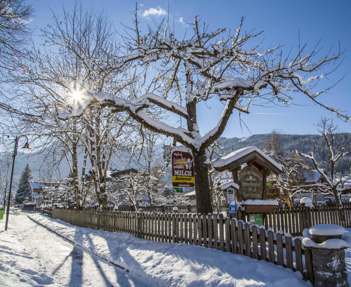 Landhaus Olga im Winter