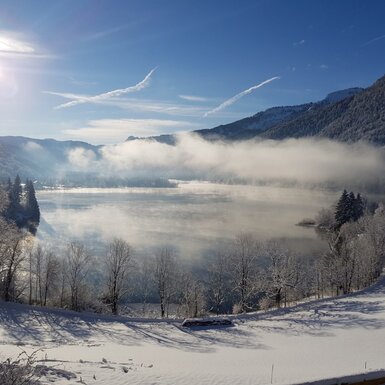 Blick auf den winterlichen Hintersee mit Nebel über dem Wasser, umgeben von verschneiten Bäumen und Bergen.