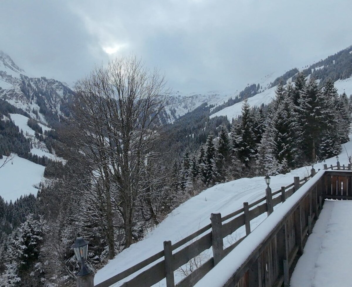 Blick von der Almterrasse auf die verschneite Berglandschaft mit Wäldern.
