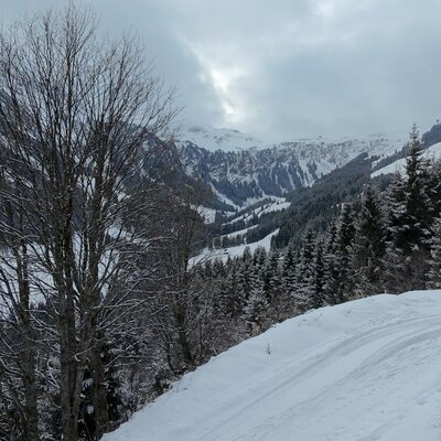 Verschneite Berglandschaft mit einem Weg und Holzzaun, der zur Alm führt.