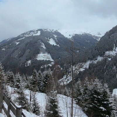 Blick auf die verschneite Berglandschaft mit Tannenbäumen von der Alm.