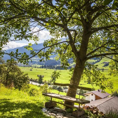 Eine Holzbank unter einem Baum auf dem Bauernhof, ideal, um die grüne Landschaft und die umliegenden Berge zu genießen.