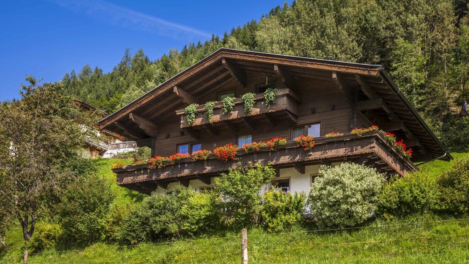 Der Biobauernhof in Holzbauweise mit blumengeschmückten Balkonen liegt an einem grünen Hang vor dem Wald.