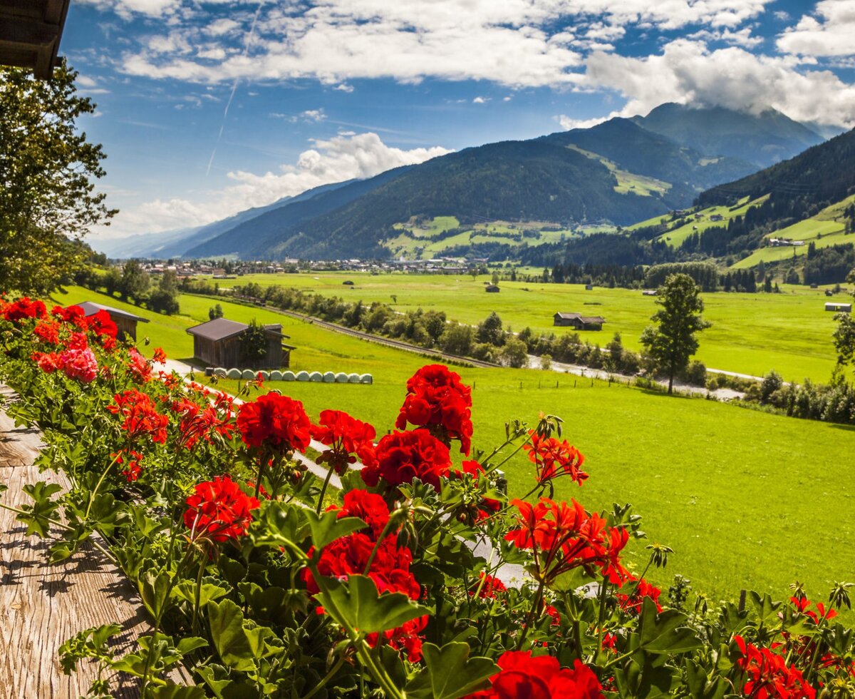 Blick vom Balkon des Bauernhofs mit roten Geranien auf das grüne Tal und die umliegenden Berge.