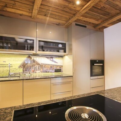 Moderne Küche im Bed and Breakfast mit Induktionskochfeld, Backofen und einer Spüle mit Almhütten-Rückwand unter einer Holzdecke.