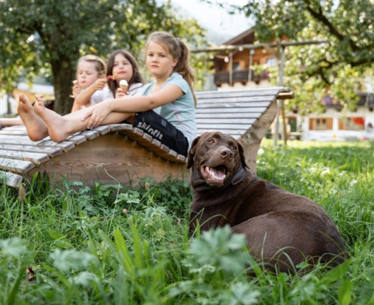 Drei Kinder genießen Eis auf einer Holzliege im Garten des Bio-Bauernhofs, mit einem Hund im Gras.