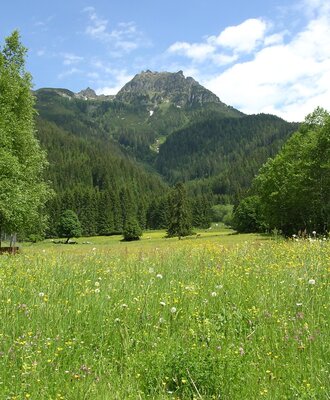 Gaisstein